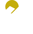 Logo White Bricks
