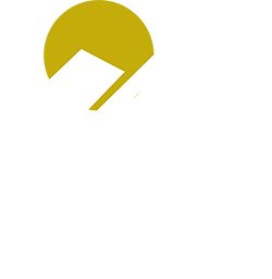 Logo White Bricks